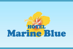 Marine Blue Hitachinaka image