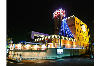 Hotel Calibian image