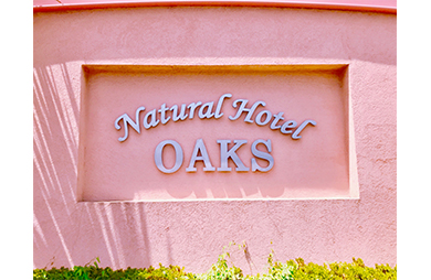 Natural Hotel OAKS image